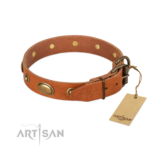 Corrosion resistant decorations on full grain genuine leather dog collar for your four-legged friend