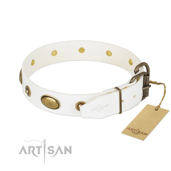Corrosion proof D-ring on full grain leather dog collar for your doggie