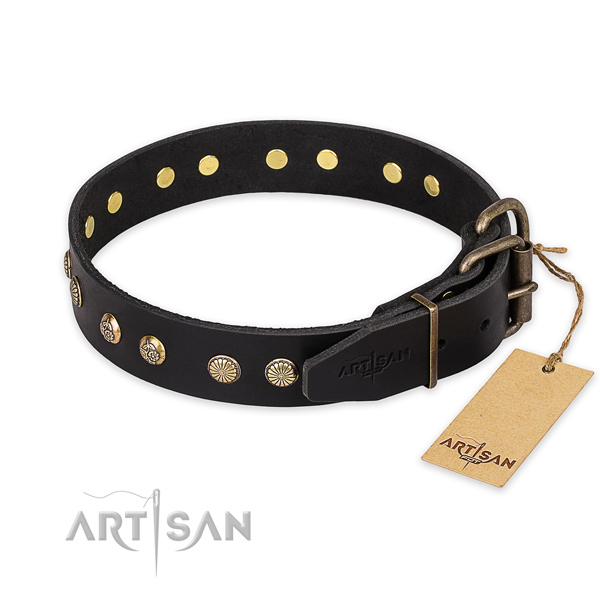 Reliable buckle on leather collar for your attractive pet