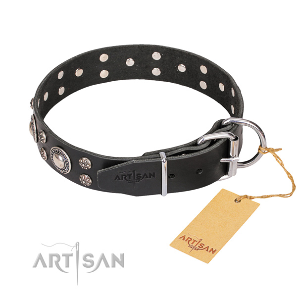 Daily use studded dog collar of durable natural leather