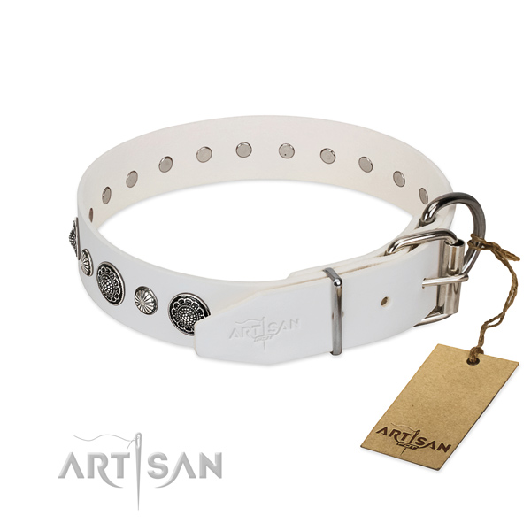 Best quality leather dog collar with corrosion resistant fittings