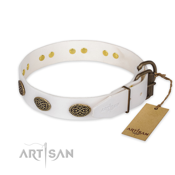 Reliable D-ring on genuine leather collar for fancy walking your four-legged friend