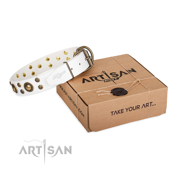 Comfy wearing dog collar of finest quality full grain genuine leather with adornments