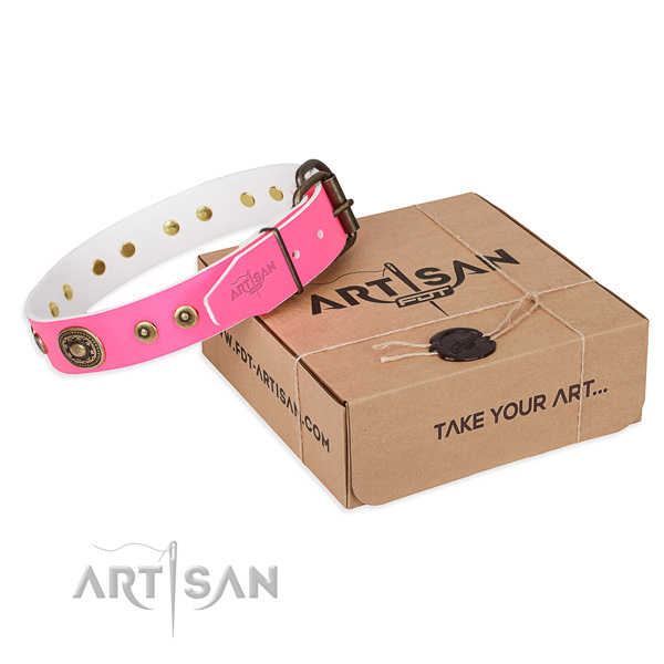 Full grain genuine leather dog collar made of high quality material with rust resistant fittings