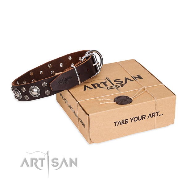 Everyday walking dog collar of quality natural leather with embellishments