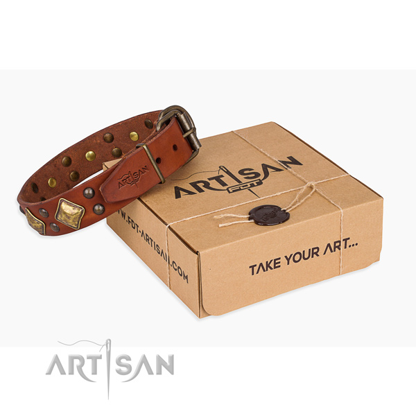 Daily use dog collar with Significant reliable decorations