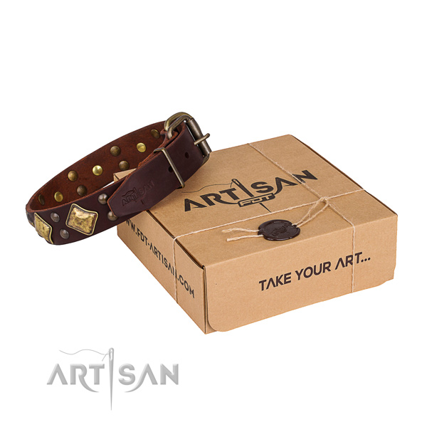 Basic training dog collar with Incredible strong studs