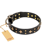 "A La Mode" FDT Artisan Handcrafted Black Leather Amstaff Collar "A La Mode" FDT Artisan Handcrafted Black Leather Amstaff Collar