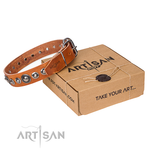 Full grain genuine leather dog collar made of soft material with reliable traditional buckle