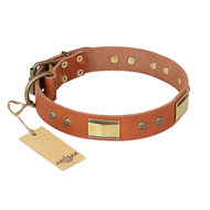 "Enchanting Spectacle" FDT Artisan Tan Leather Amstaff Collar with Old Bronze Look Plates and Round Studs "Enchanting Spectacle" FDT Artisan Tan Leather Amstaff Collar with Old Bronze Look Plates and Round Studs