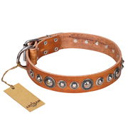 "Daily Chic" FDT Artisan Tan Leather Amstaff Collar with Decorations "Daily Chic" FDT Artisan Tan Leather Amstaff Collar with Decorations