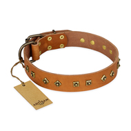 "Autumn Story" FDT Artisan Leather Amstaff Collar with Old Bronze Look Studs "Autumn Story" FDT Artisan Leather Amstaff Collar with Old Bronze Look Studs