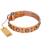 "Extra Sparkle" FDT Artisan Handcrafted Tan Leather Amstaff Collar "Extra Sparkle" FDT Artisan Handcrafted Tan Leather Amstaff Collar