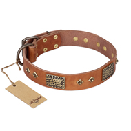 "Catchy Look" FDT Artisan Decorated Tan Leather Amstaff Collar "Catchy Look" FDT Artisan Decorated Tan Leather Amstaff Collar