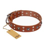 "Silver Elegance" FDT Artisan Decorated Leather Amstaff Collar with Old Silver-Like Plated Studs and Cones
