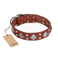 "Magic Squares" FDT Artisan Tan Leather Amstaff Collar with Silver-like Decor