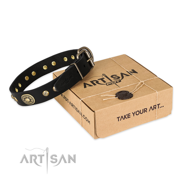 Corrosion resistant fittings on full grain genuine leather dog collar for everyday use