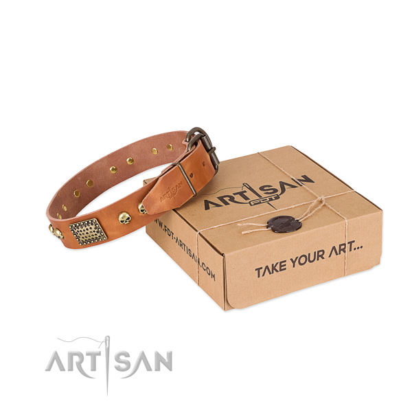 Rust-proof traditional buckle on dog collar for everyday walking