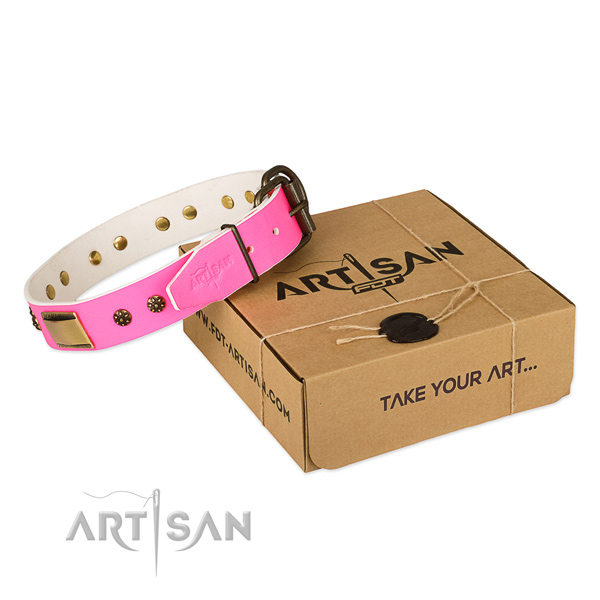Significant full grain leather collar for your stylish dog