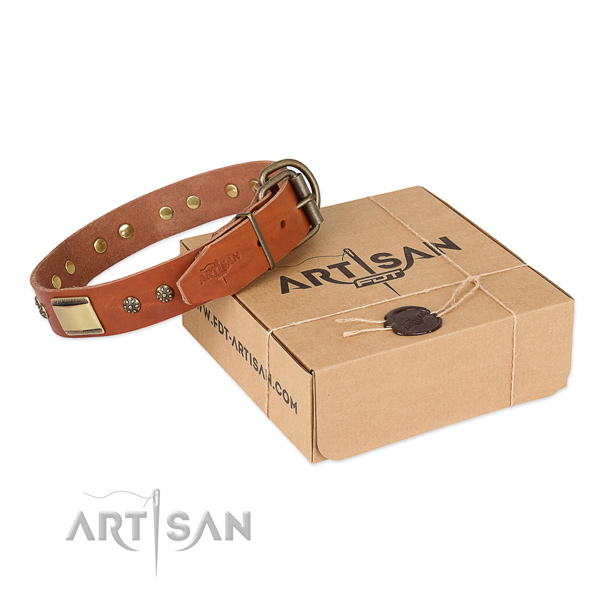 Fashionable full grain genuine leather collar for your lovely canine