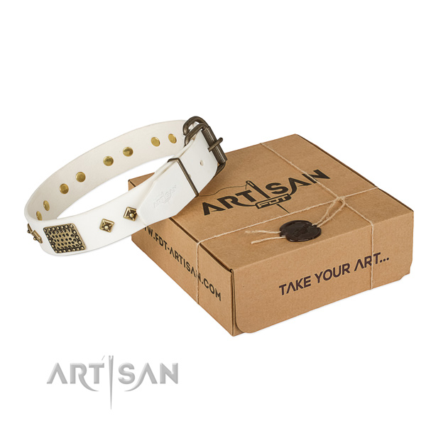 Amazing full grain genuine leather collar for your beautiful canine