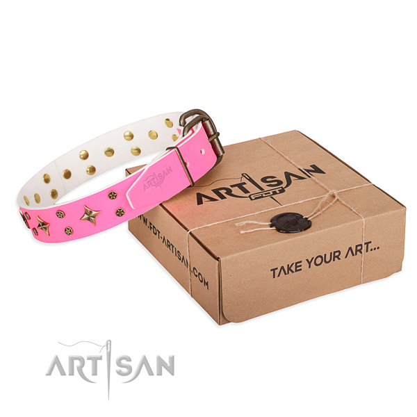 Stylish walking dog collar of high quality full grain natural leather with decorations