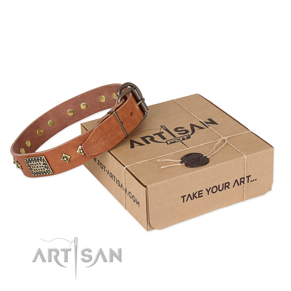 Comfortable genuine leather collar for your impressive canine