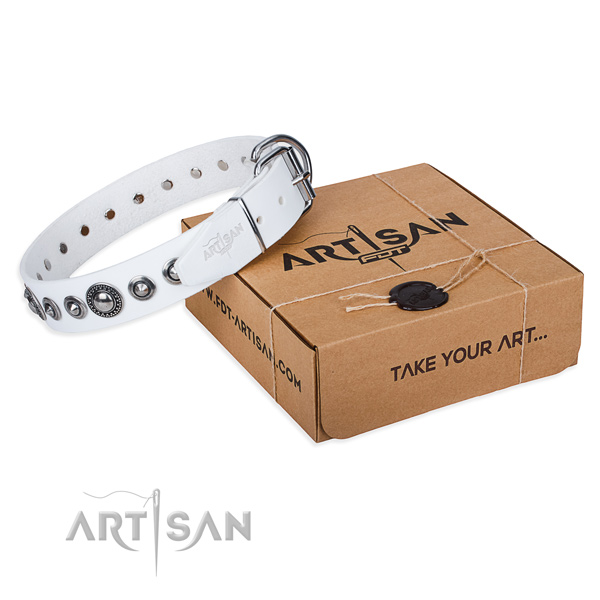 Full grain natural leather dog collar made of high quality material with strong traditional buckle