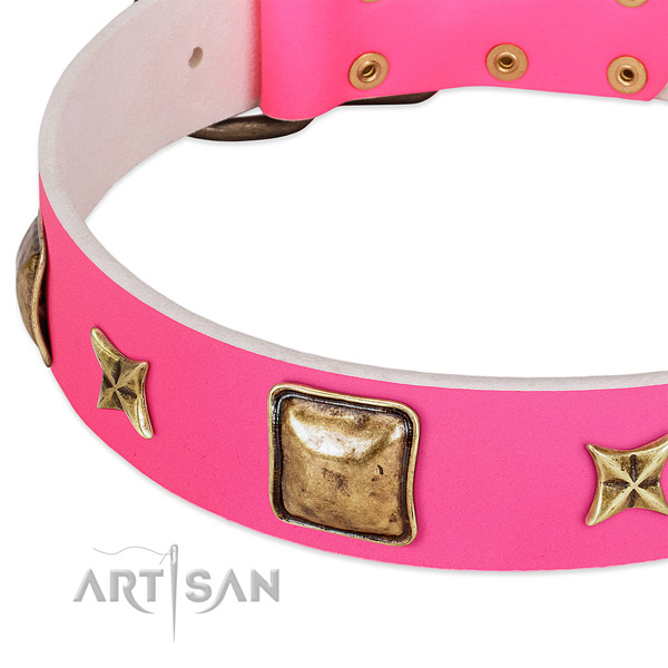 Natural leather dog collar with impressive embellishments
