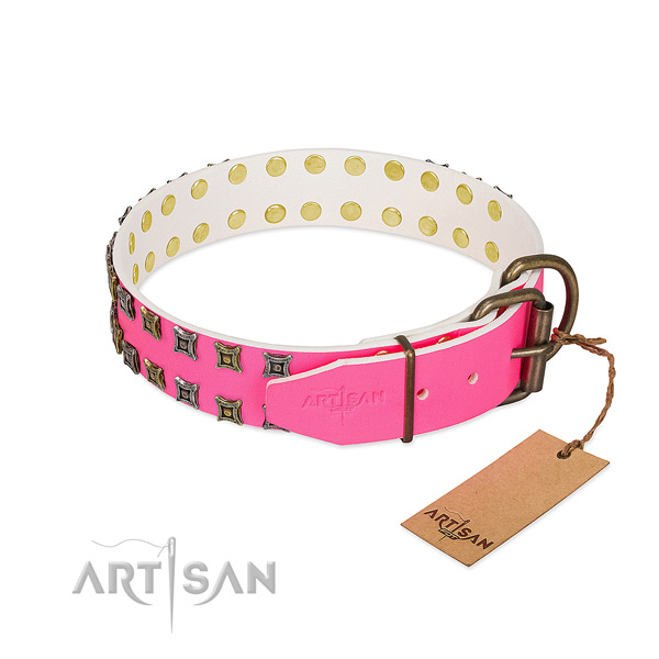 Full grain leather collar with unusual adornments for your pet