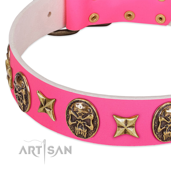Natural leather dog collar with exquisite adornments
