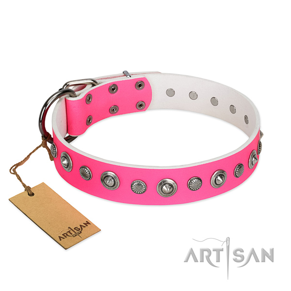 Quality full grain leather dog collar with designer embellishments