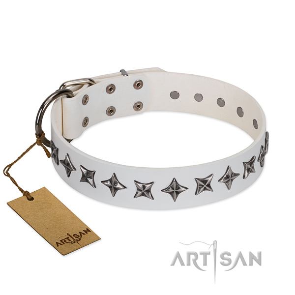 Everyday use dog collar of quality full grain genuine leather with studs