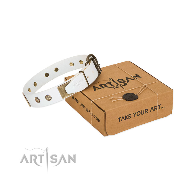 Corrosion resistant buckle on dog collar for everyday walking