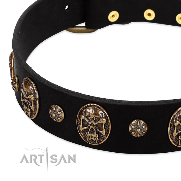 Rust resistant embellishments on full grain natural leather dog collar for your four-legged friend