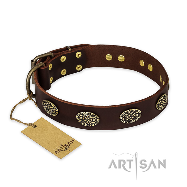 Studded genuine leather dog collar with corrosion proof hardware