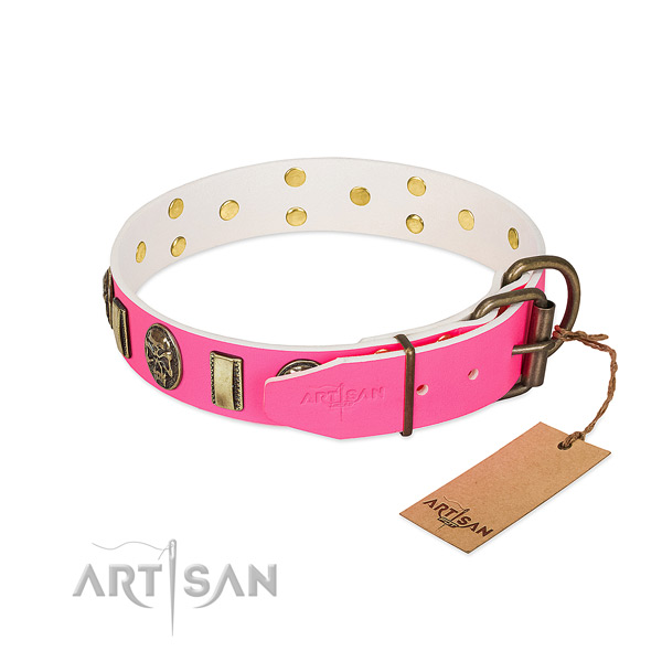 Corrosion proof studs on full grain genuine leather dog collar for your four-legged friend
