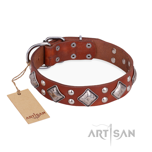 Comfortable wearing best quality dog collar with rust resistant hardware