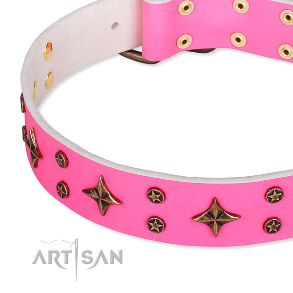 Stylish walking decorated dog collar of finest quality full grain leather