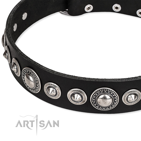 Stylish walking studded dog collar of durable full grain leather