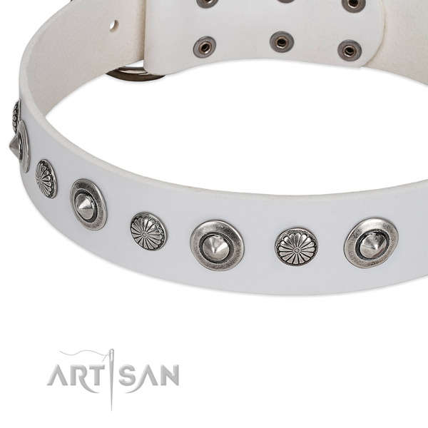 Natural leather collar with durable traditional buckle for your stylish dog