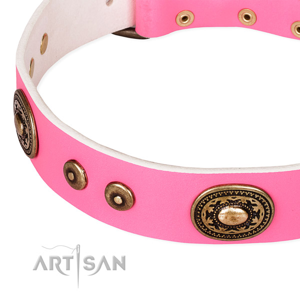 Leather dog collar made of top rate material with adornments