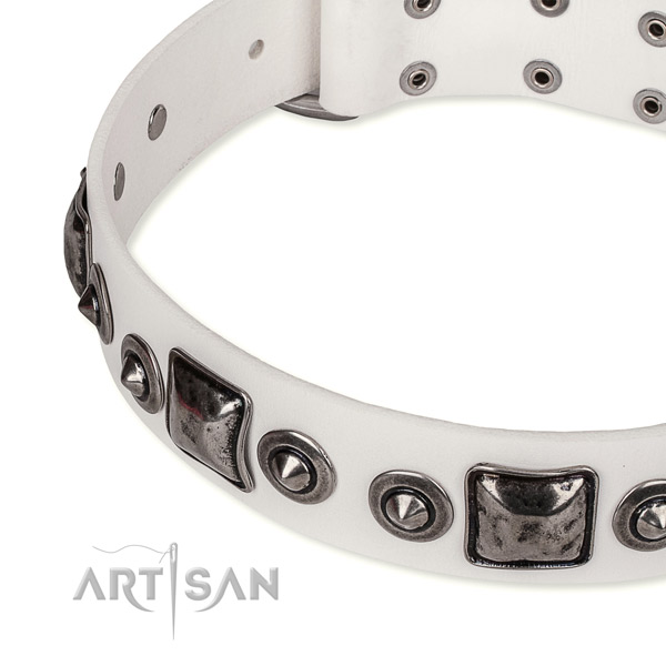 High quality leather dog collar created for your lovely pet