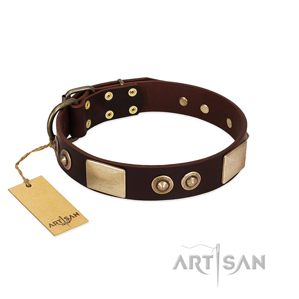 Adjustable leather dog collar for everyday walking your dog