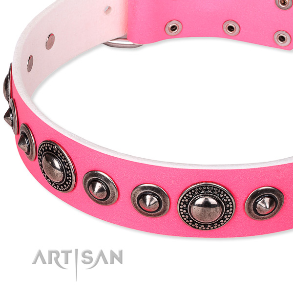 Basic training adorned dog collar of durable full grain genuine leather