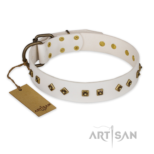 Unusual genuine leather dog collar with strong fittings
