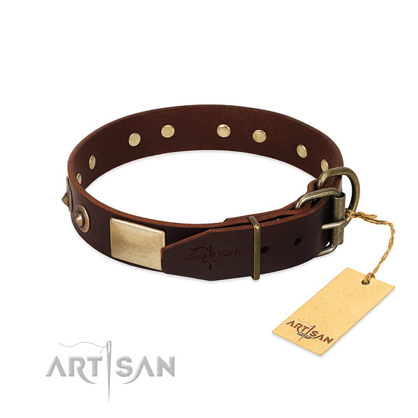 Corrosion proof D-ring on everyday walking dog collar