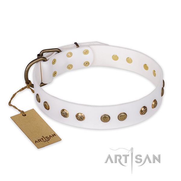 Top quality leather dog collar with reliable D-ring