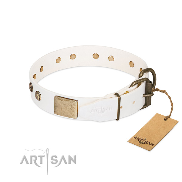 Rust-proof decorations on comfy wearing dog collar