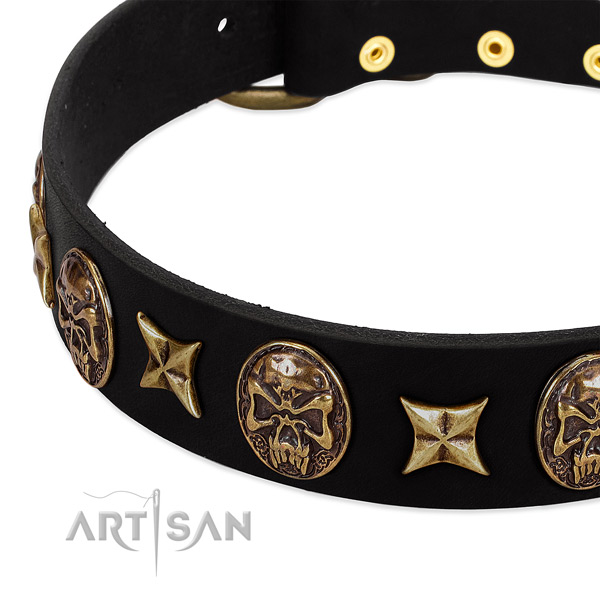 Corrosion resistant buckle on leather dog collar for your pet